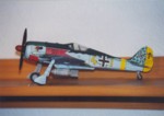 Focke Wulf Fw-190 A3 Fly Model 64 01.jpg

32,21 KB 
791 x 561 
25.02.2005
